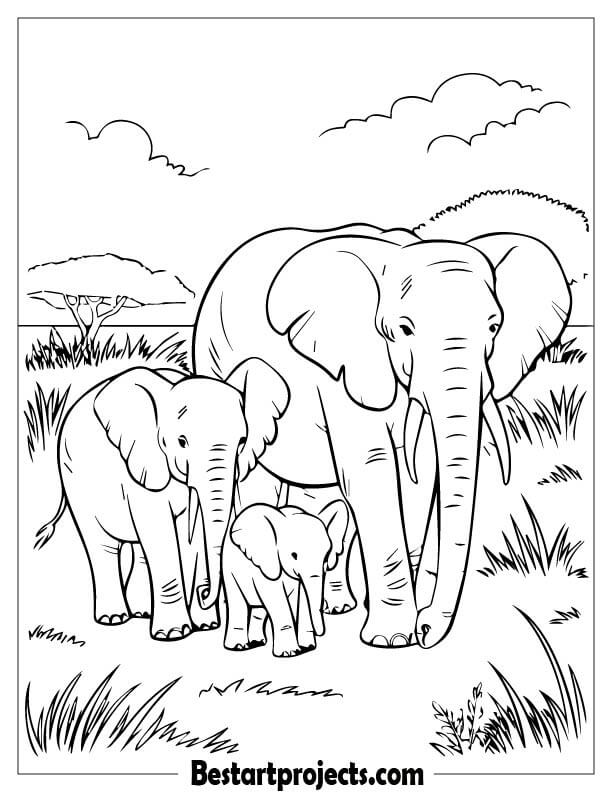 Elephant Family Walking Through a Sunlit Savanna