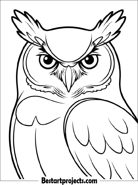 37.Great Horned Owl Portrait Close-Up