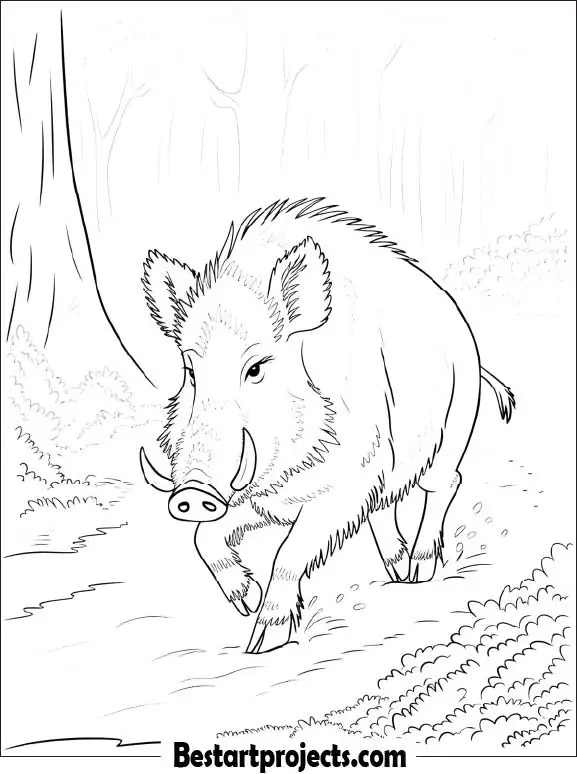 37.Wild Boar Running  in the Forest