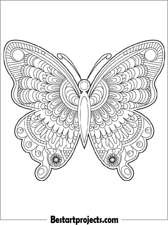 Butterfly with Henna Patterns Coloring page