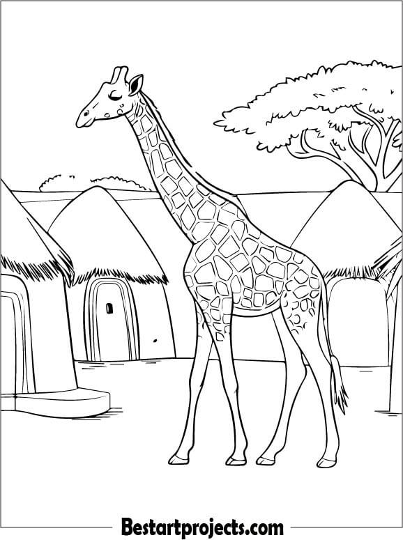 Realistic Giraffe In Africa