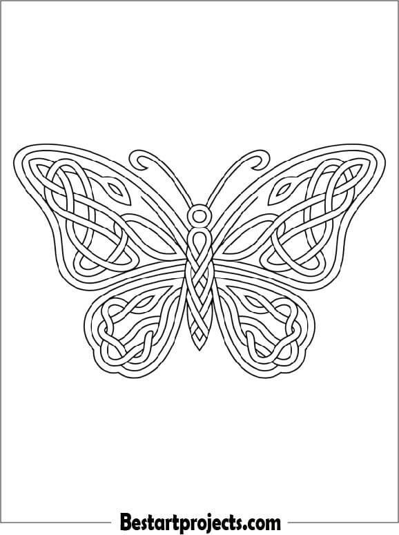 Butterfly Celtic Knot Design