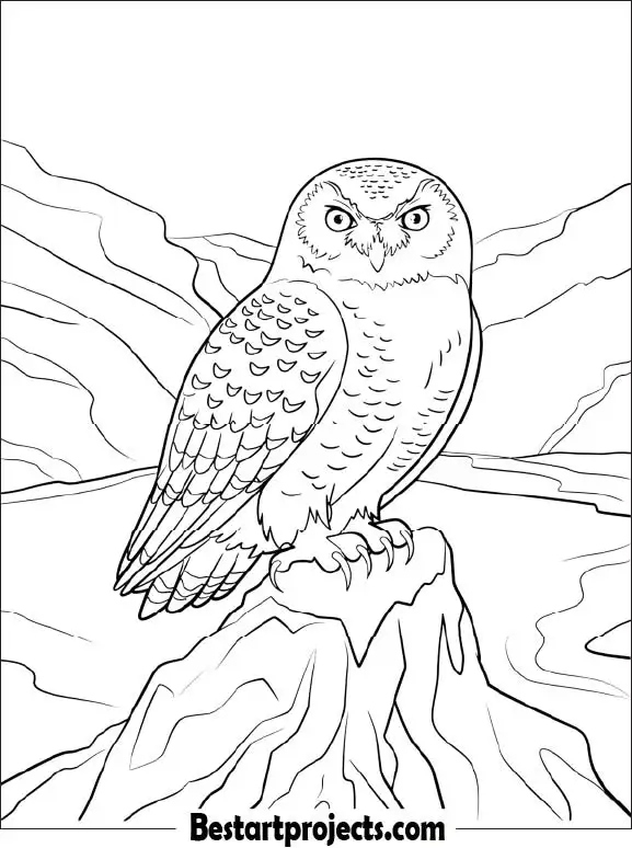 39.Snowy Owl on an Icy Rock