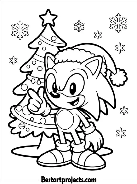 39.Sonic with a Christmas hat