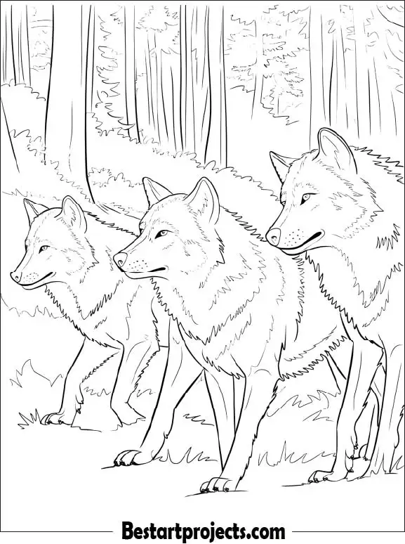 Wolf Pack in Forest Coloring Page Printable