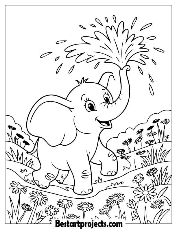 Elephant spraying water into the air
