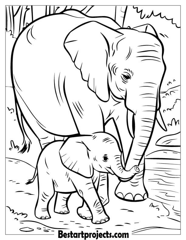 Baby Elephant Walking with Its Mother