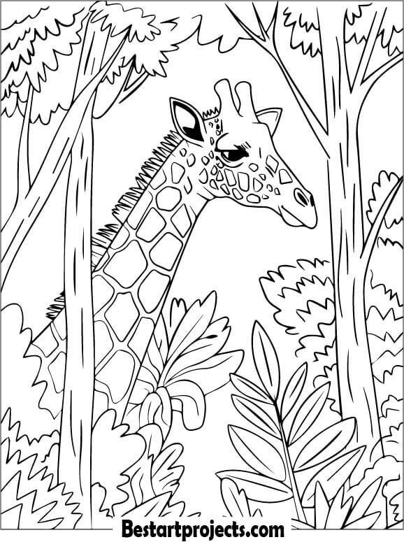 Giraffe Peeking Through the Trees Coloring sheet