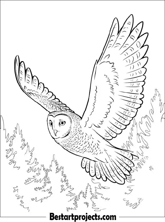 41.Owl in Flight Over a Forest
