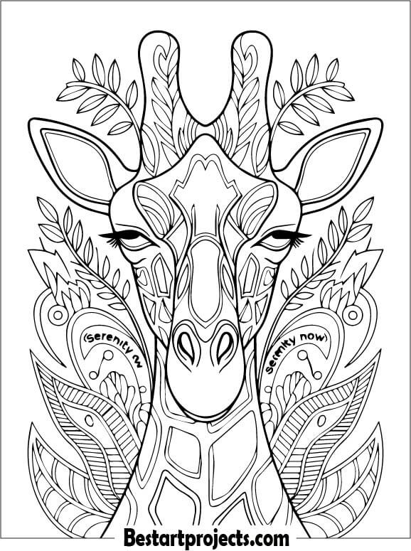 Mandala-style Giraffe Head Coloring Sheet
