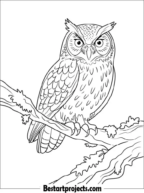 42.Owl Perched on a Moss-Covered Branch