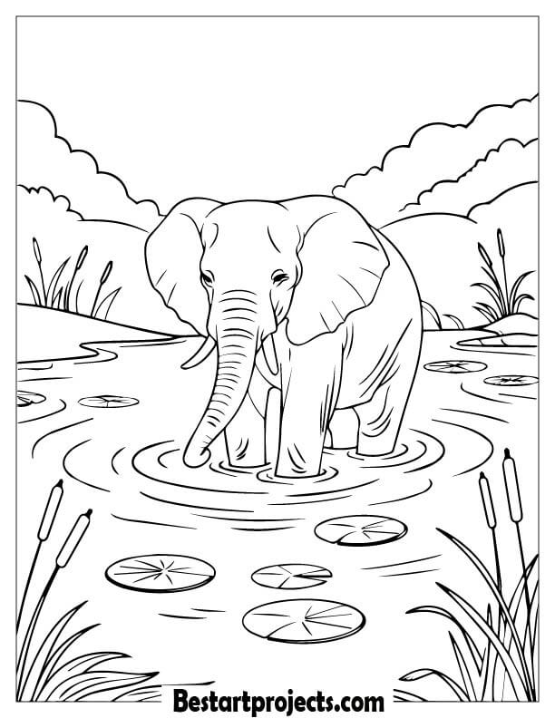 Realistic Elephant in a Lake
