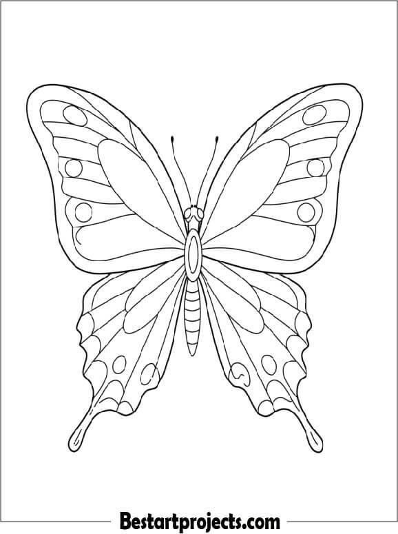 Simple Butterfly Outline For Kids