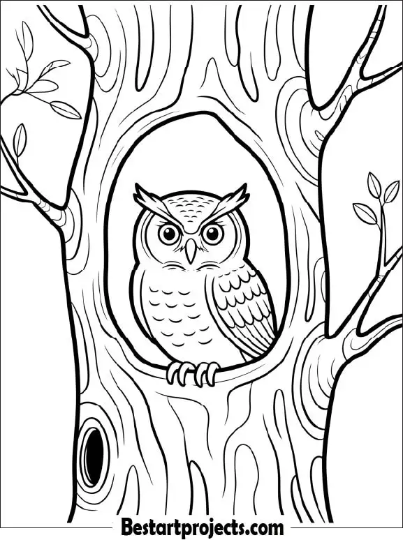 44.Owl Nesting in a Tree Hollow