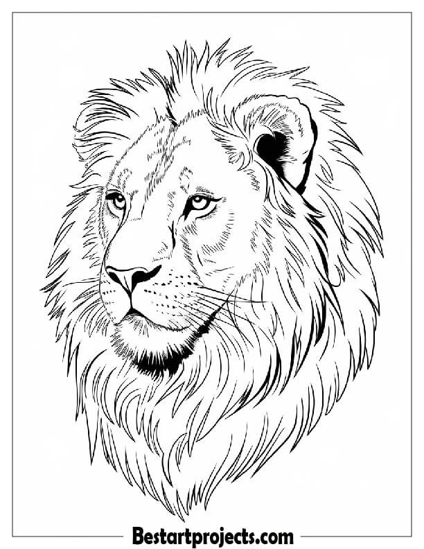 Realistic Lion face Design 2