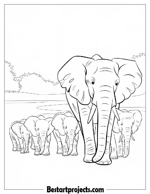 Herd Of Elephants Coloring page