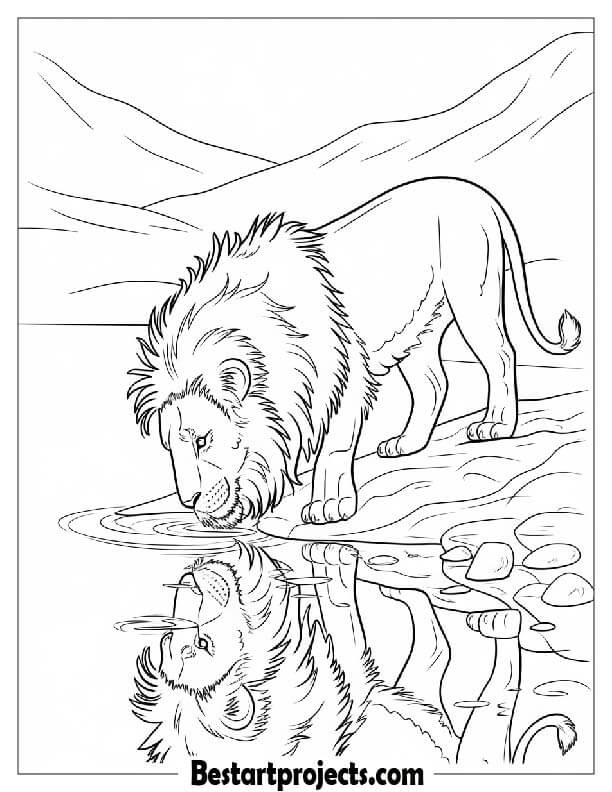 Lion drinking water from a lake Coloring page
