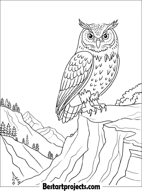 45.Owl Sitting on a Rock Cliff with Mountains Behind