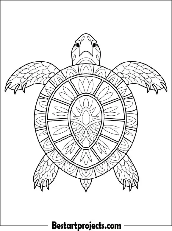 46.Detailed Mandala Turtle For Adults