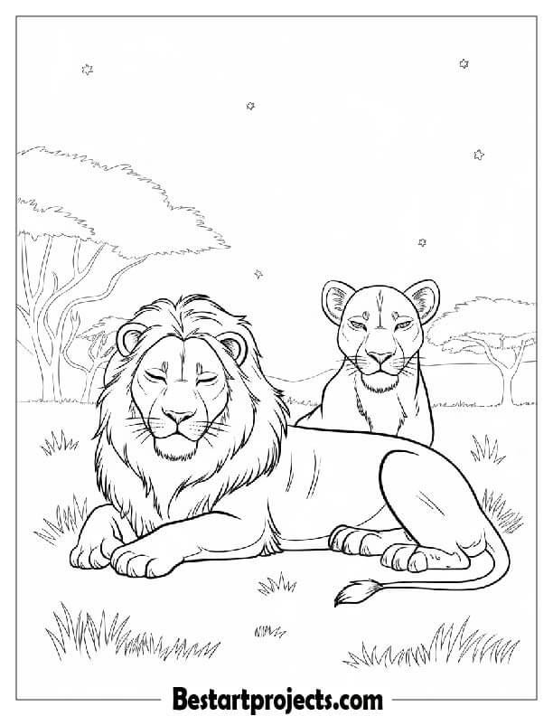 Lion and Lioness Resting