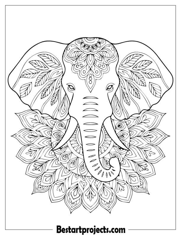 Mandala Elephant Design 1