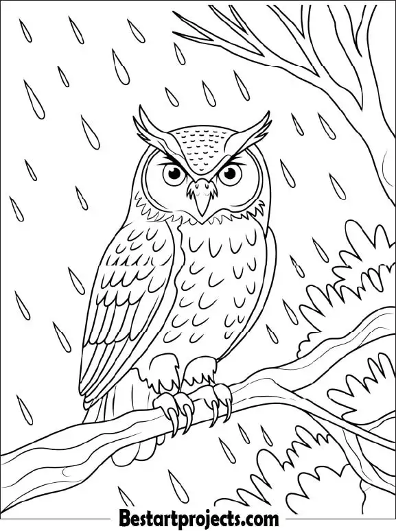 46.Owl Perched Under Falling Rain