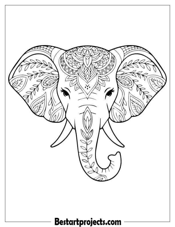 Floral Elephant Head with Mandala Design