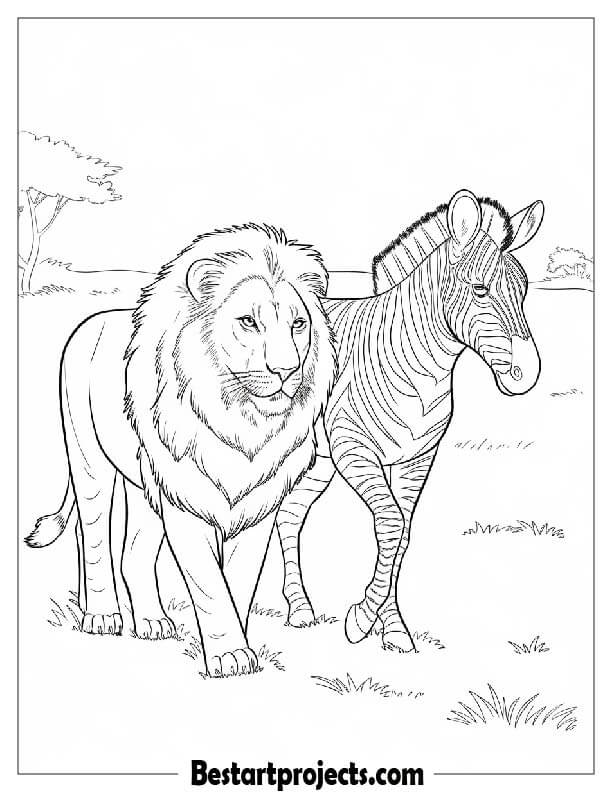 Lion and Zebra Walking Together