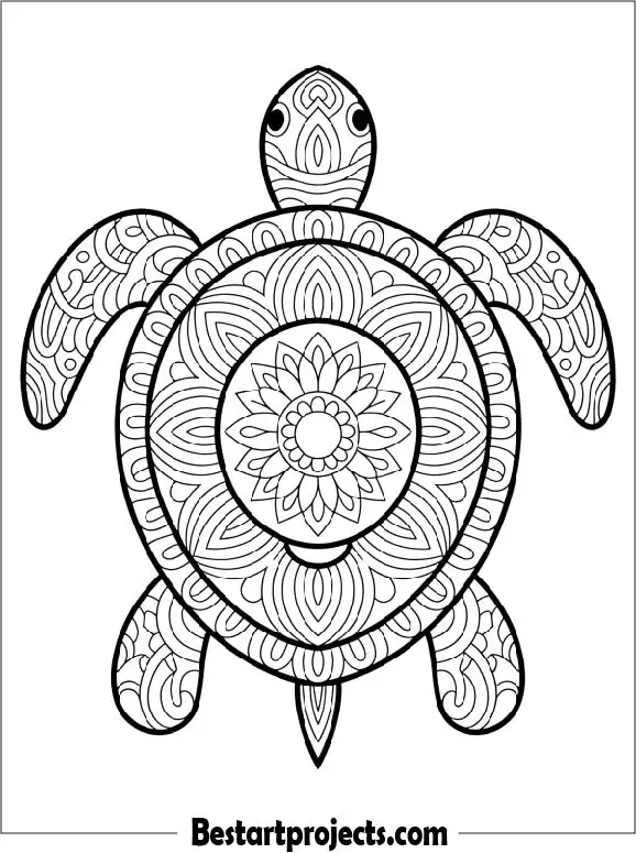 47.Mandala Sea Turtle with Floral Patterns