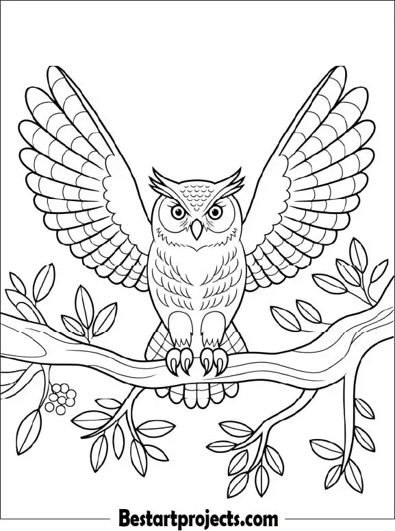 47.Owl with Wing Spread