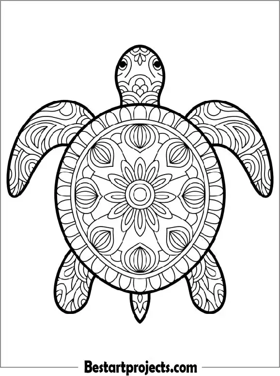 48.Mandala Turtle with Intricate Patterns