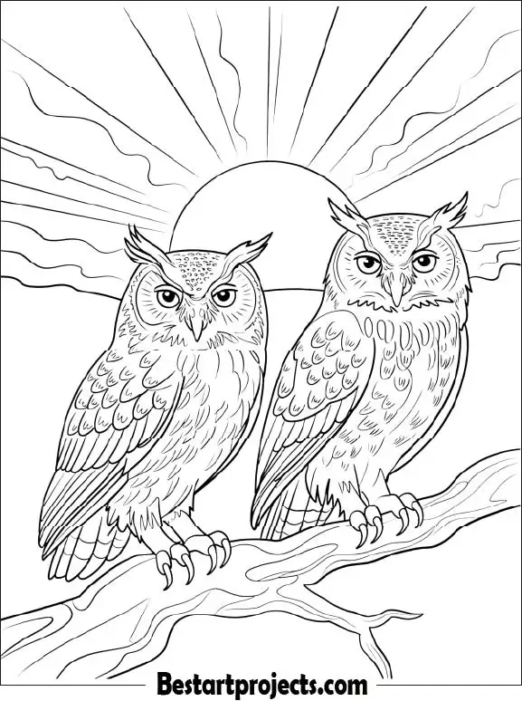 48.Two Realistic Owls on a Branch