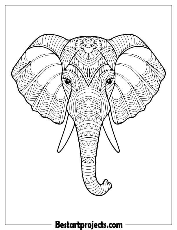 Zentangle Elephant Head Design