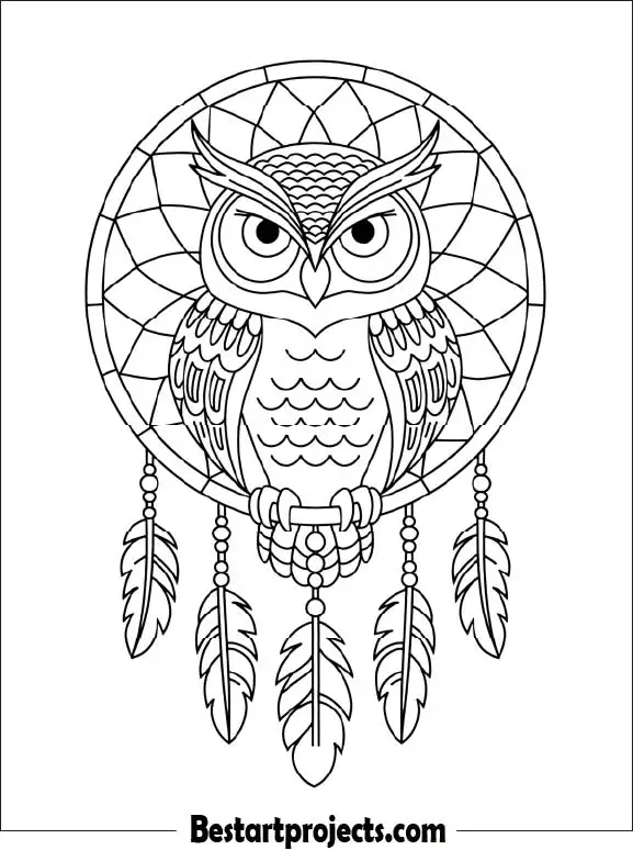 49.Dreamcatcher Owl Design