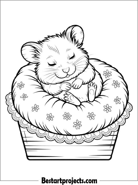 Baby Hamster Sleeping on a Fluffy Pillow
