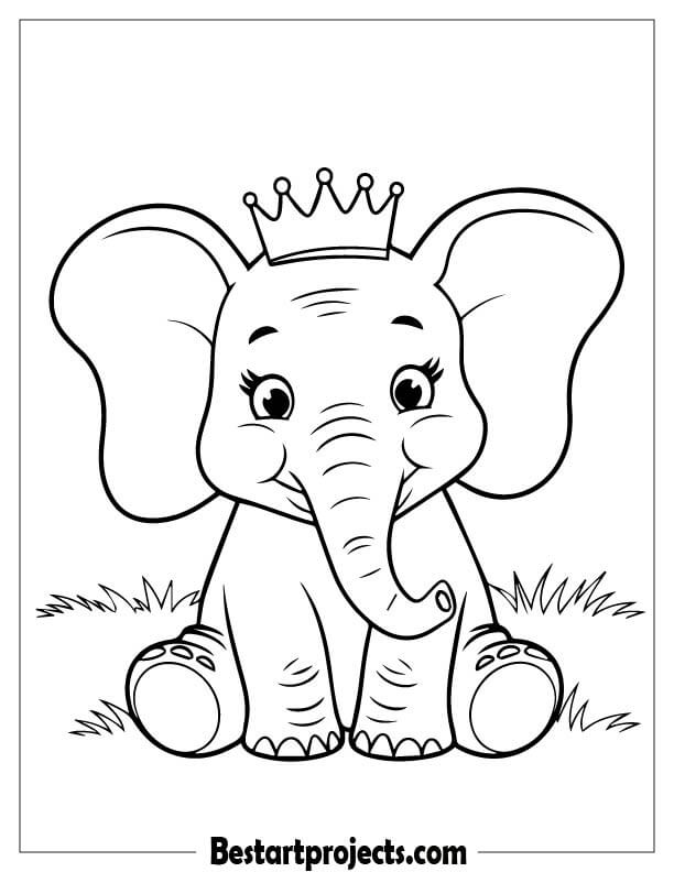 Elephant sitting and wearing a tiny crown