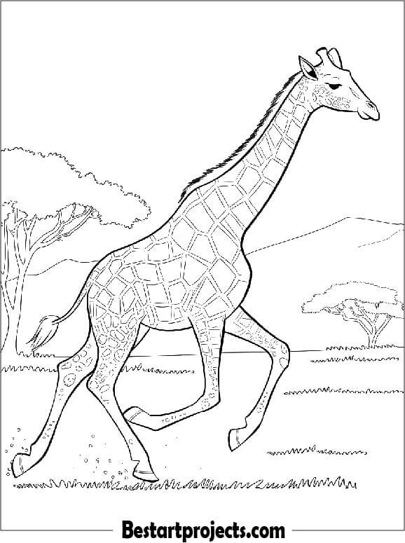 Giraffe Running in the Wild Coloring page