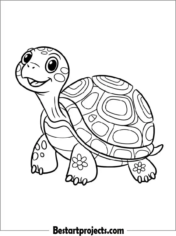 5.Turtle with a Big Shell