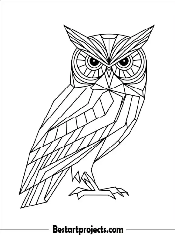 50.Geometric Line Art Owl