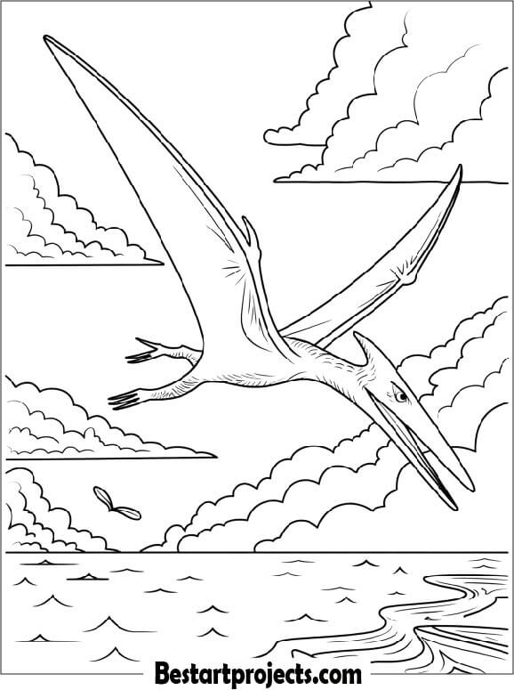  Pteranodon Diving from the Sky