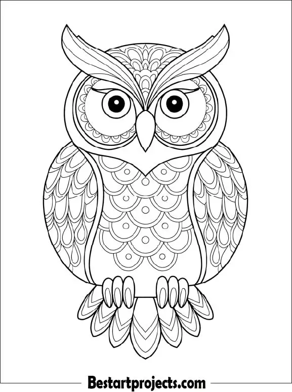 51.Intricate Mandala Owl Design