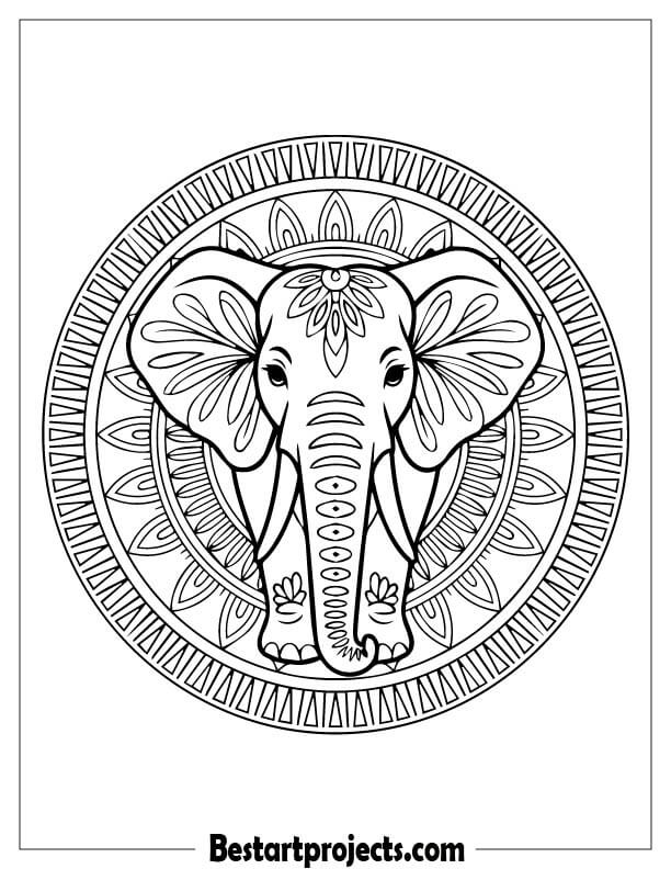 Mandala Elephant Design 2