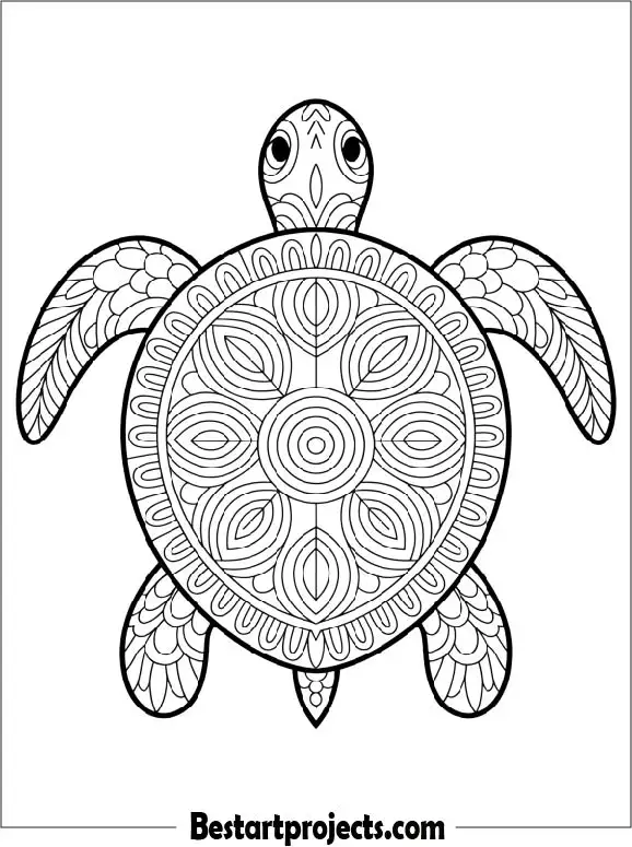 51.Mandala Turtle Design