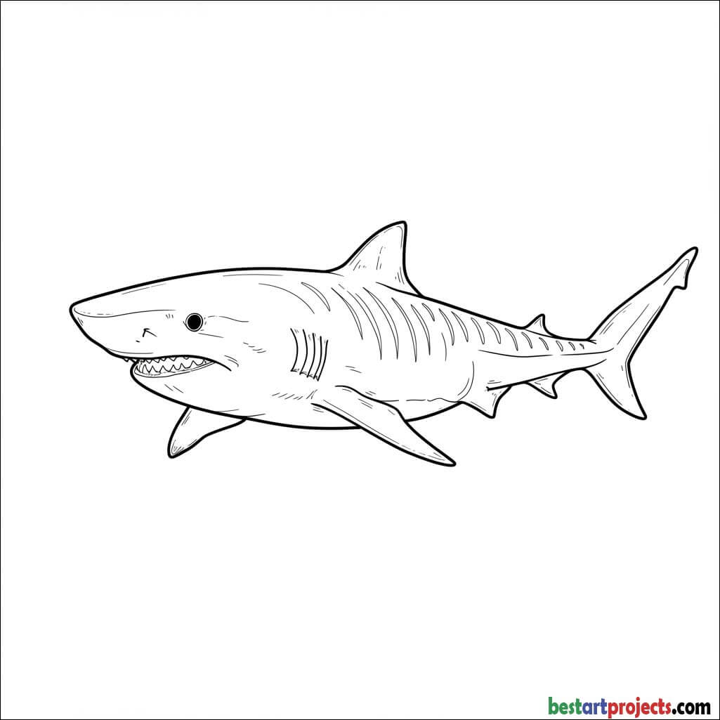 Realistic Bull Shark Coloring page