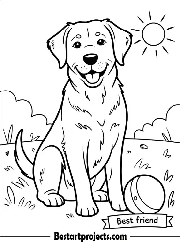 Labrador Retriever