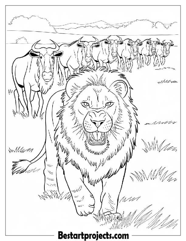 Lion with a Herd of Wildebeest