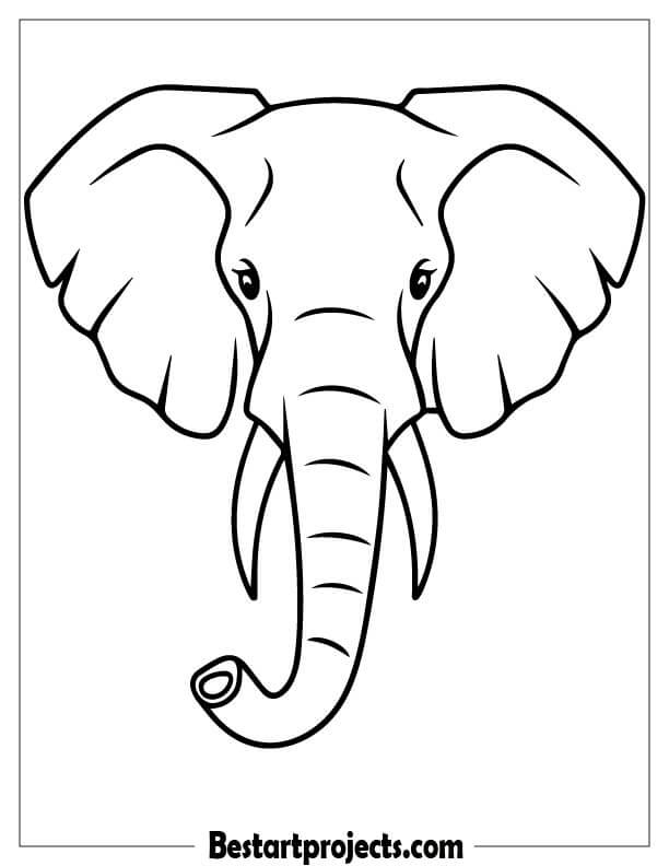 Simple Elephant  Head Outline Coloring Page