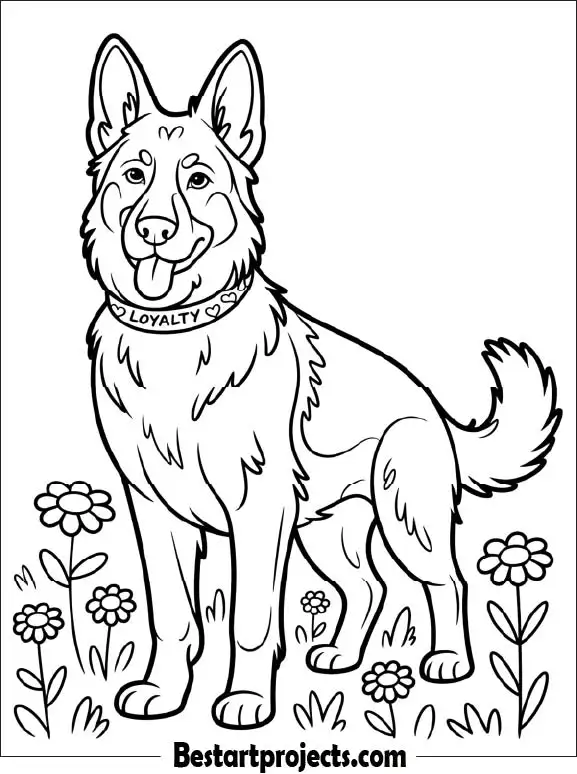 German Shepherd