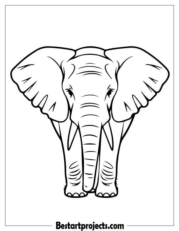 Simple Elephant Outline Front View