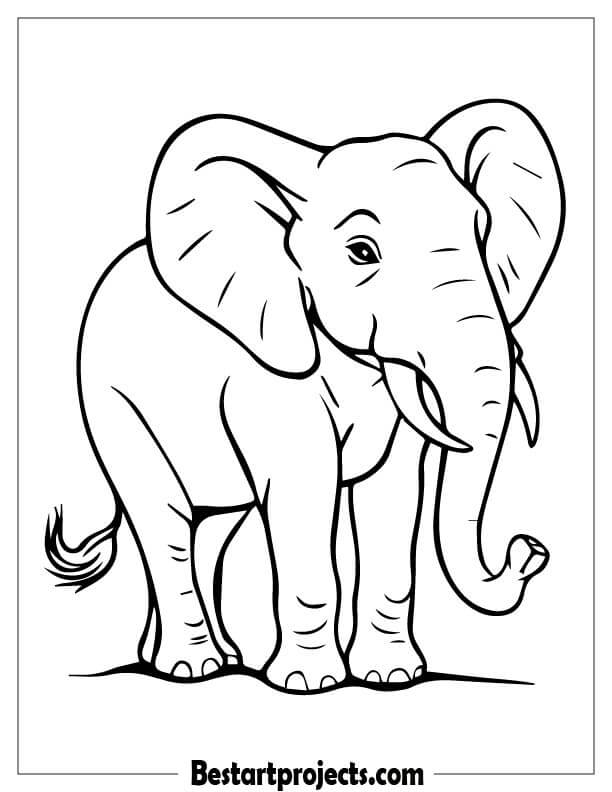 Cartoon Elephant Outline Coloring page